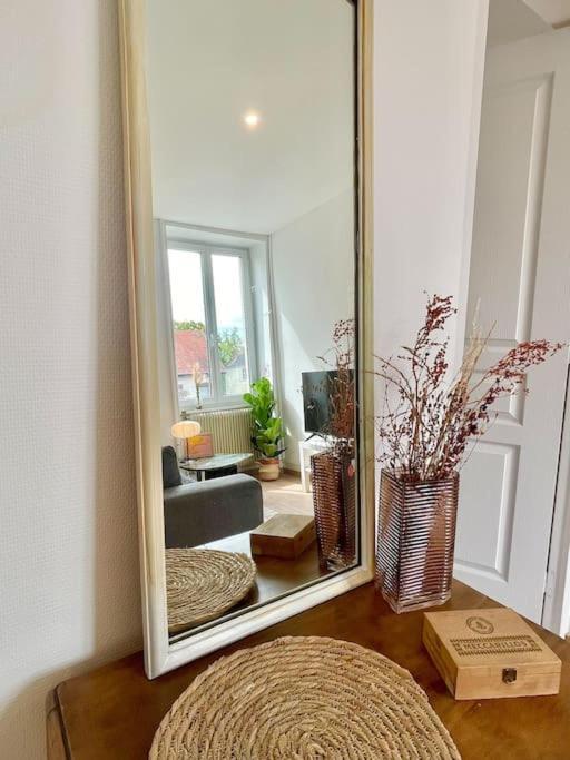 1 Appartement 3P Ideal Famille Travail Renove Lumineux Parking Gratuit Mulhouse Eksteriør bilde