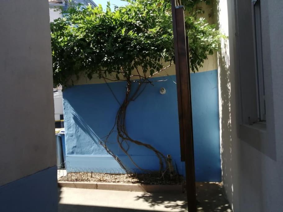 1 Appartement 3P Ideal Famille Travail Renove Lumineux Parking Gratuit Mulhouse Eksteriør bilde