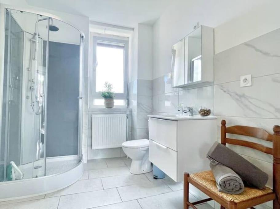 1 Appartement 3P Ideal Famille Travail Renove Lumineux Parking Gratuit Mulhouse Eksteriør bilde